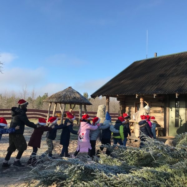 Kalėdų šventė sodyboje (25)